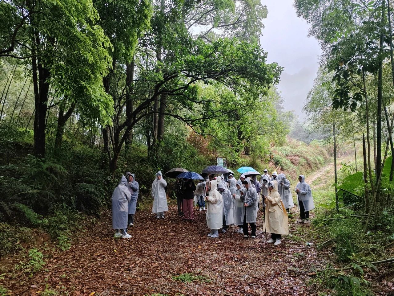 yl8cc永利线路检测中心