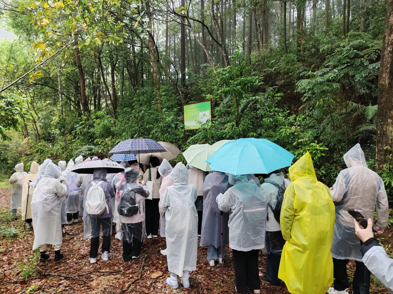 yl8cc永利线路检测中心