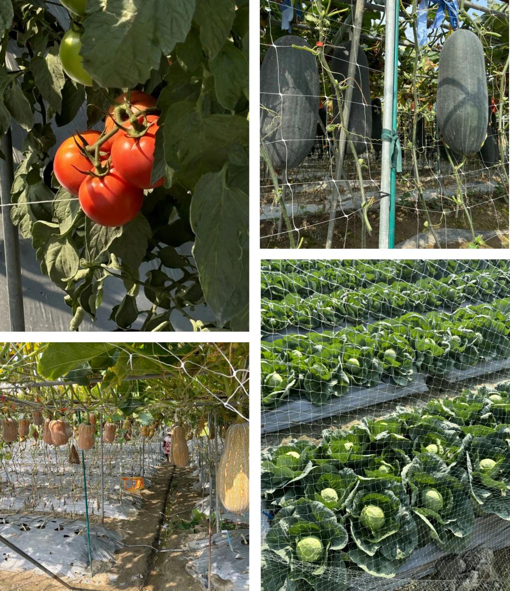 yl8cc永利线路检测中心