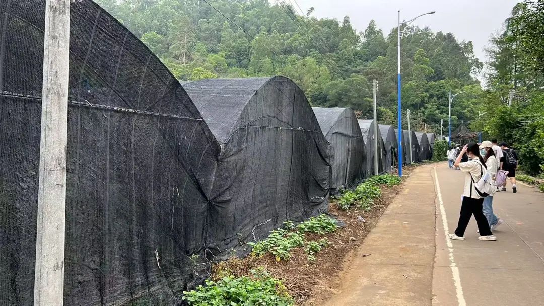 yl8cc永利线路检测中心