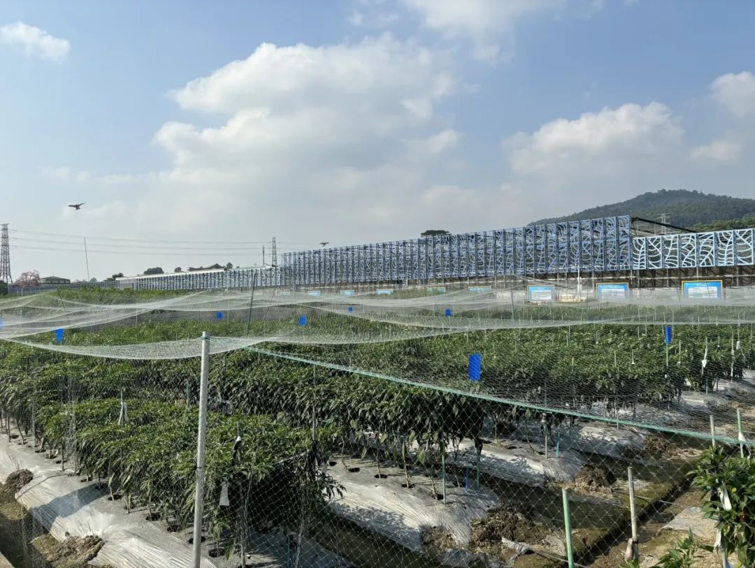 yl8cc永利线路检测中心