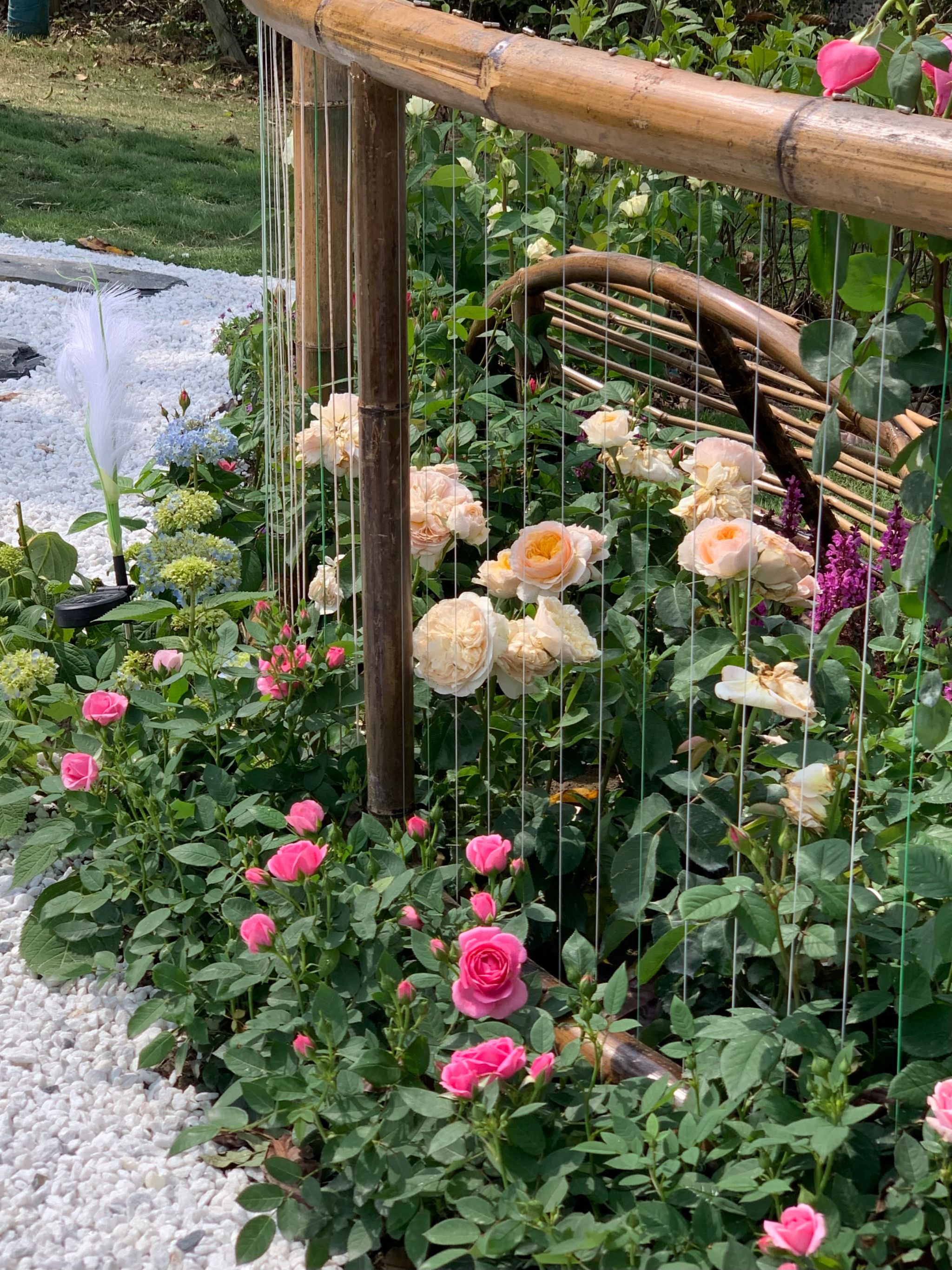 yl8cc永利线路检测中心