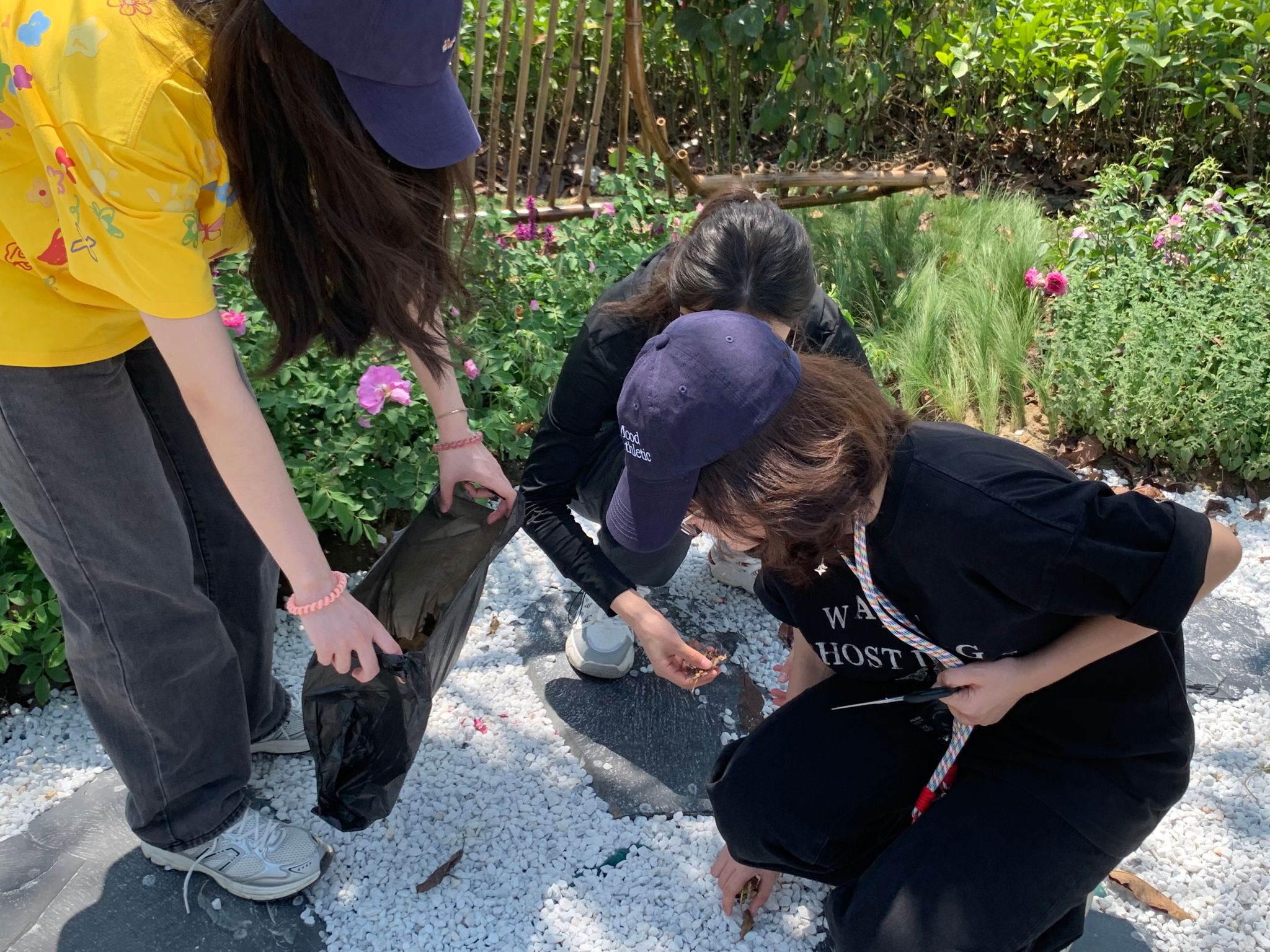 yl8cc永利线路检测中心